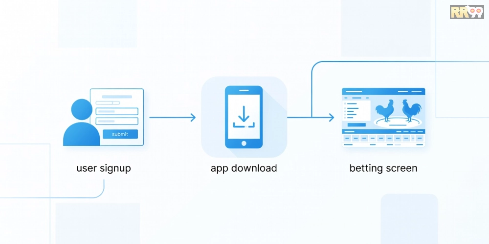 Hướng dẫn từng bước đăng ký và sử dụng dịch vụ xem đá gà trực tiếp casino rr99