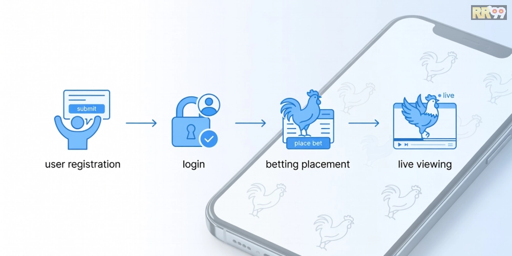 Hướng dẫn từng bước đăng ký và sử dụng đá gà chọi RR99 an toàn